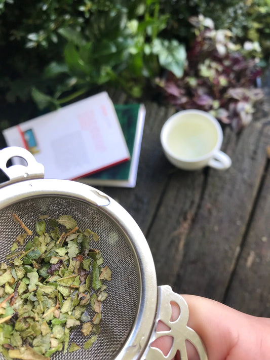 Why drink Lemon Myrtle Tea? Facts & Health Benefits - Andina Tea